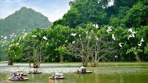 Tác Động Của Du Lịch Sinh Thái Đối Với Bảo Tồn Đa Dạng Sinh Học 9 05vietnamphattriendulichsinhthai XRKR