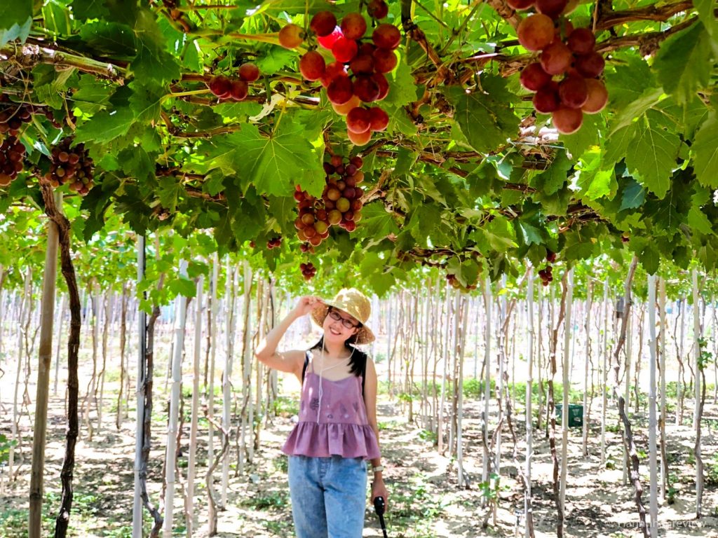 Tour Hang Rái - Vườn Nho & Đồng Cừu: miền Trung nắng gió vẫn say đắm lòng người. 6 Nha Trang 146 1024x768 1