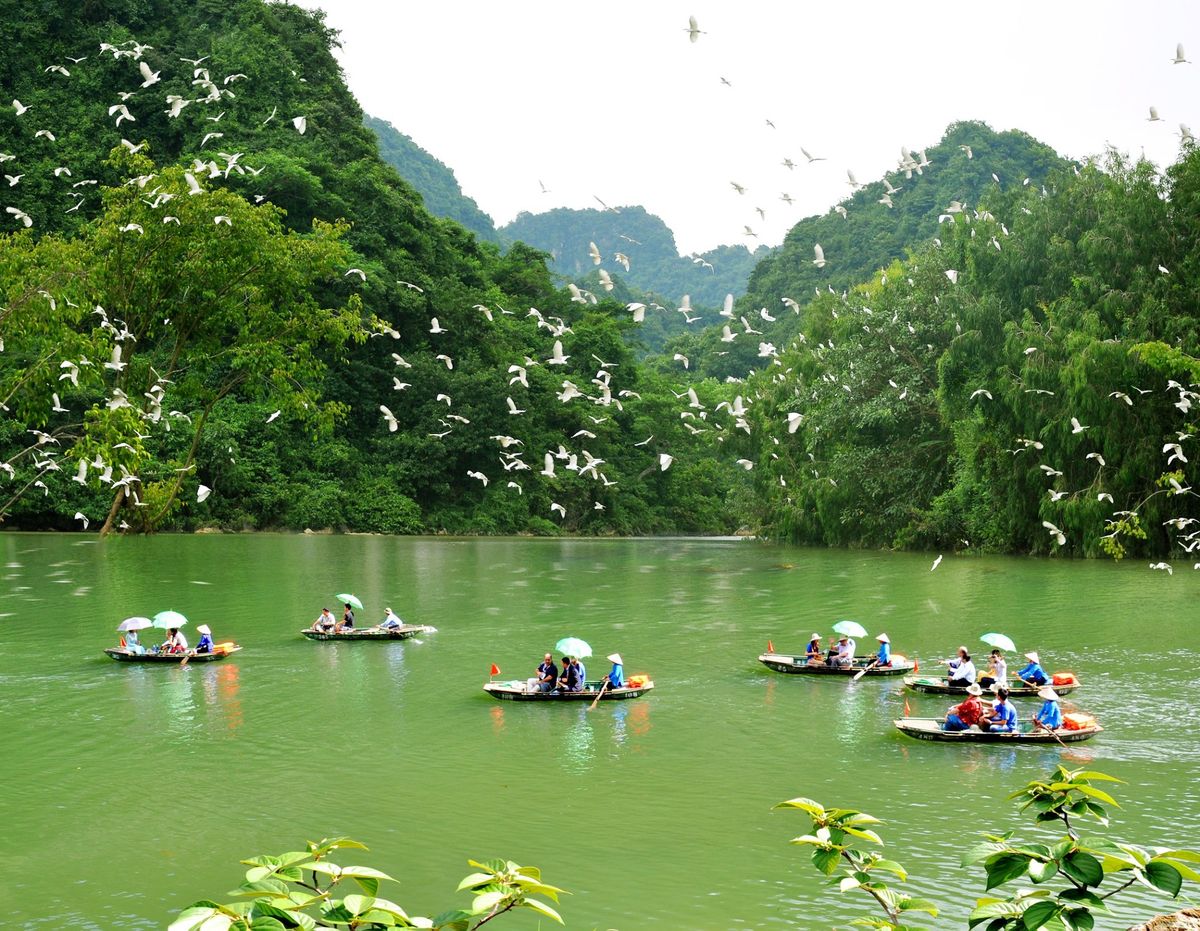 TTECO Travel 14 vuon chim thung nham lac vao vuong quoc cac loai chim o ninh binh 03 1640682926