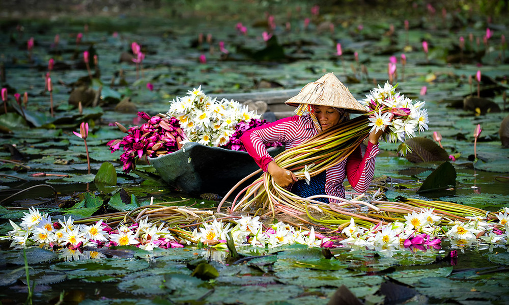 Du lịch sinh thái miền Tây mùa nước nổi Du lịch sinh thái miền Tây mùa nước nổi