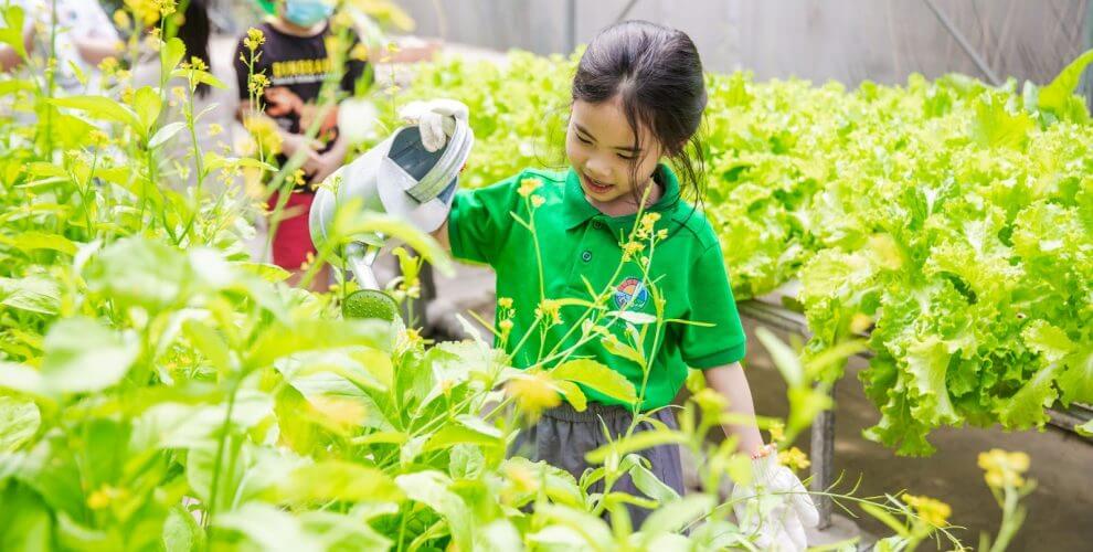 15 Cách sống Xanh hằng ngày, đơn giản dễ dàng áp dụng ngay. 29 Giáo dục Xanh - Sống xanh