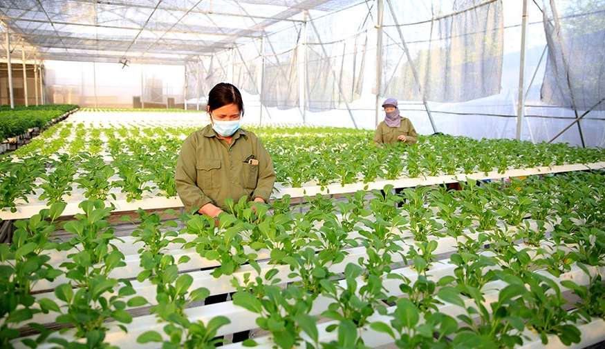 Công nghệ xanh trong sản xuất: Tương lai bền vững cho doanh nghiệp 15 Thách thức khi chuyển đổi sang Sản xuất Xanh