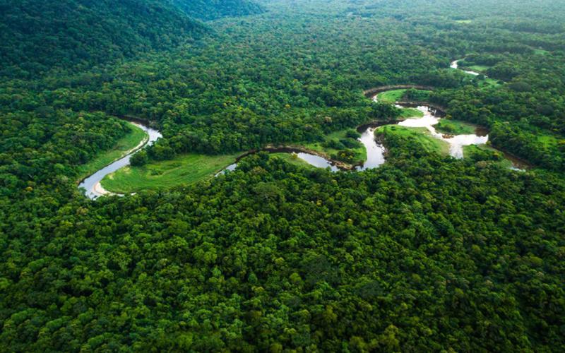 Tín chỉ Carbon: "Kho báu xanh" tỷ đô của Việt Nam 8 Tín chỉ Carbon Việt Nam