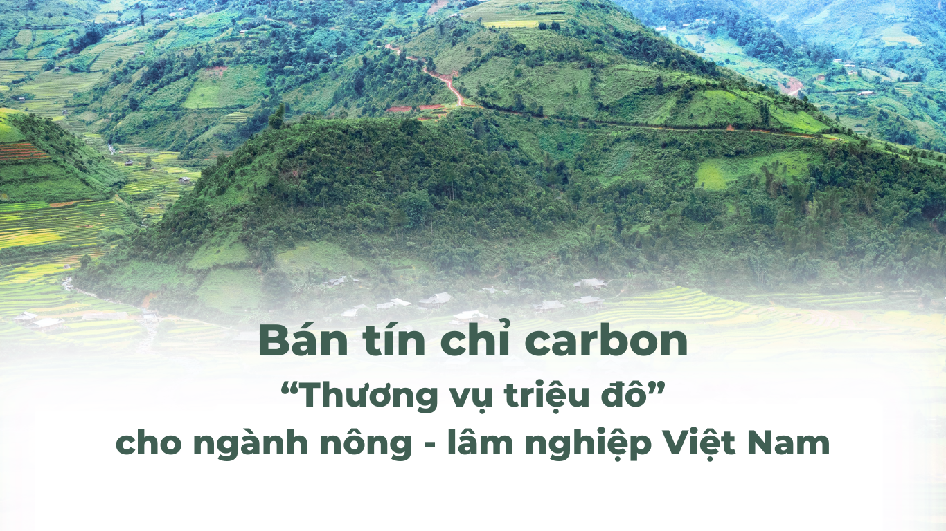 Ban tin chi carbon Thuong vu trieu do cho nganh nong lam nghiep Viet Nam