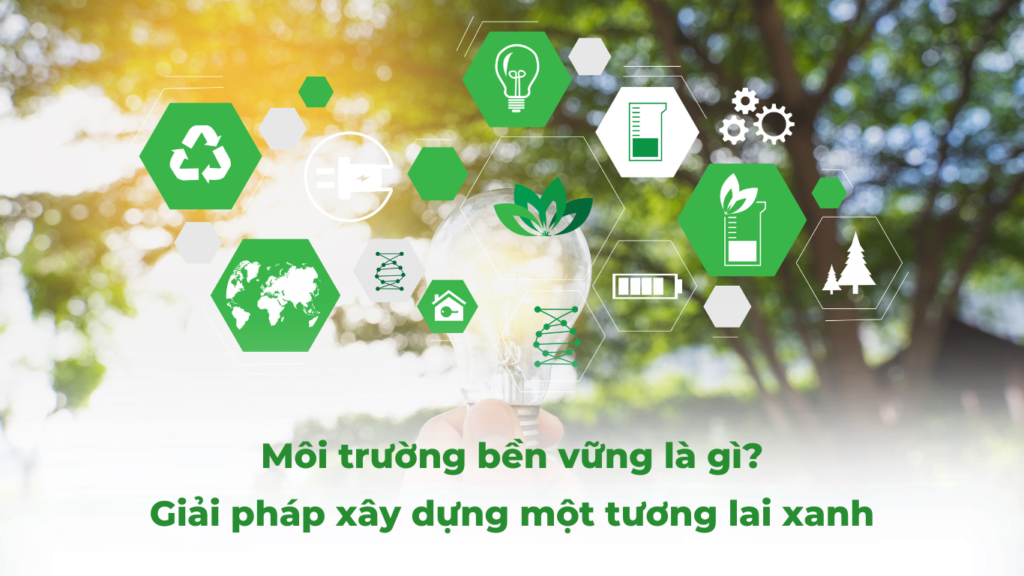 Môi trường bền vững là gì? Giải pháp xây dựng một tương lai xanh 12 Môi trường bền vững là gì? Giải pháp xây dựng một tương lai xanh