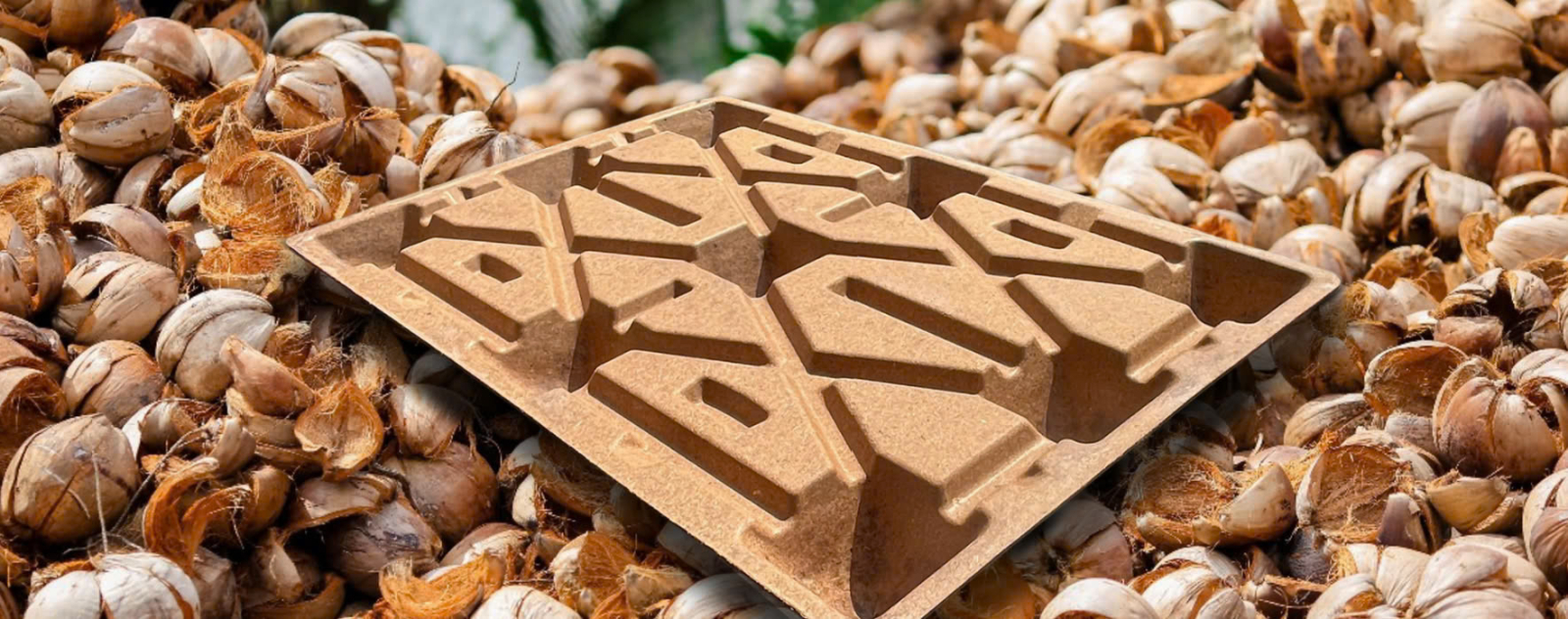 NetZero Pallet - sản phẩm xanh từ xơ dừa và phế phẩm nông nghiệp 7 NetZero Pallet Xơ dừa