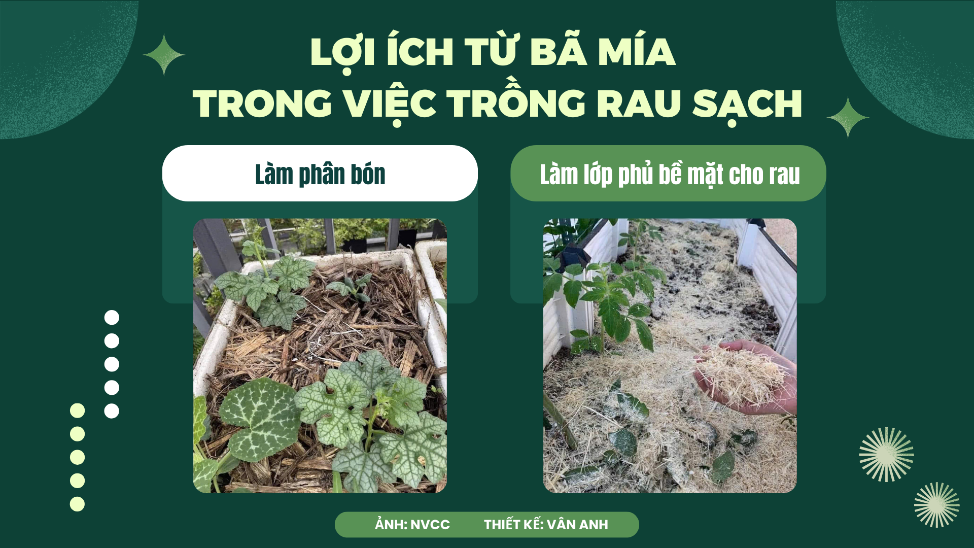 Vì một Việt Nam xanh “Trạm cứu hộ bã mía” của nhóm HS Đà Nẵng 10 ảnh 1.png