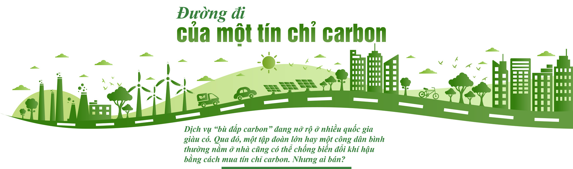 5 đô la một tín chỉ carbon là mắc hay rẻ? - Ảnh 7. 5 đô la một tín chỉ carbon là mắc hay rẻ? - Ảnh 7.