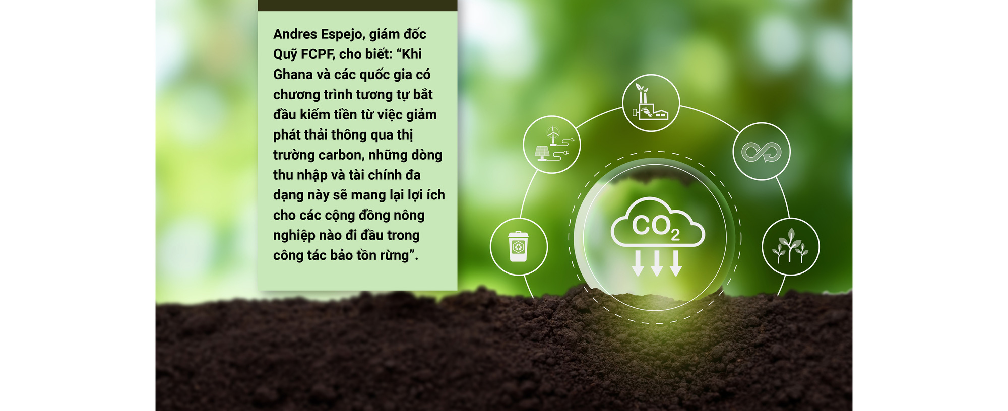 5 đô la một tín chỉ carbon là mắc hay rẻ? - Ảnh 21. 5 đô la một tín chỉ carbon là mắc hay rẻ? - Ảnh 21.