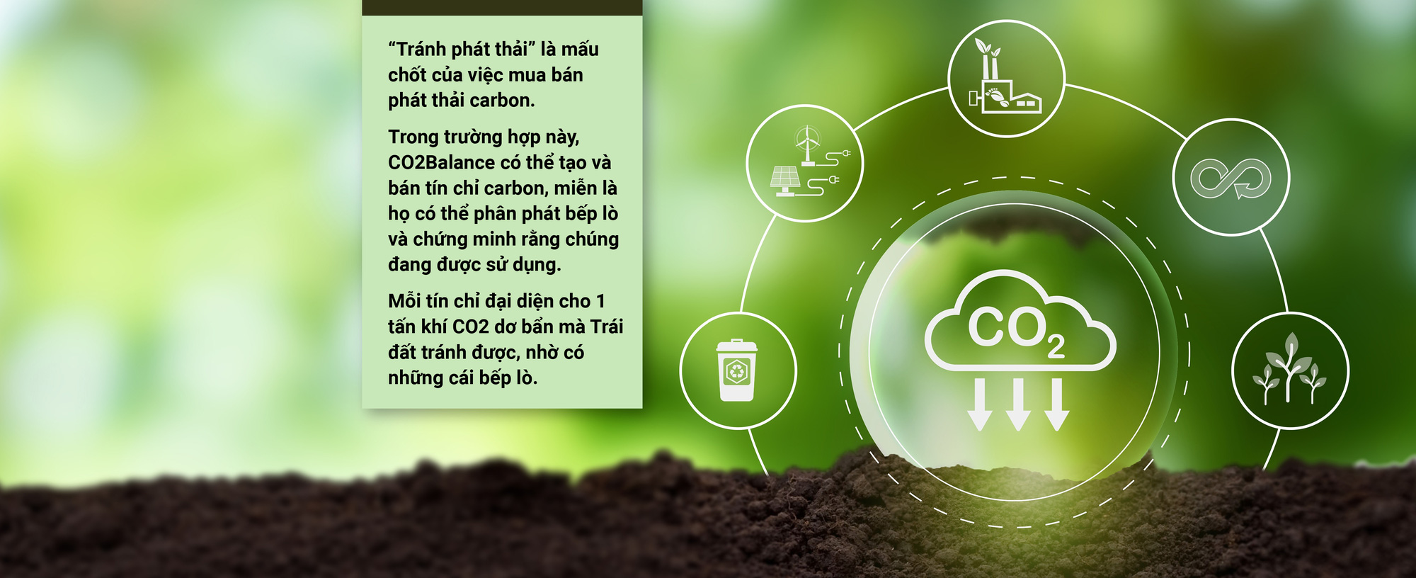 5 đô la một tín chỉ carbon là mắc hay rẻ? - Ảnh 11. 5 đô la một tín chỉ carbon là mắc hay rẻ? - Ảnh 11.