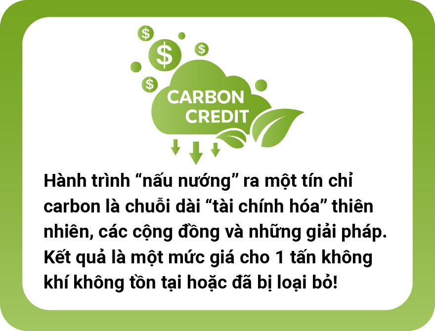 5 đô la một tín chỉ carbon là mắc hay rẻ? - Ảnh 13. 5 đô la một tín chỉ carbon là mắc hay rẻ? - Ảnh 13.