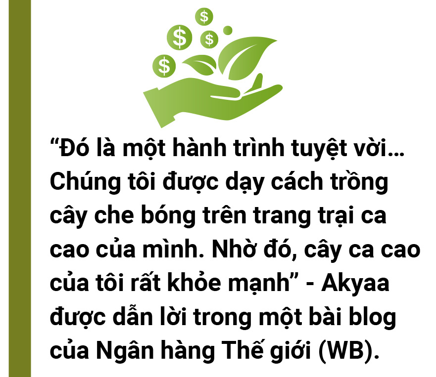 5 đô la một tín chỉ carbon là mắc hay rẻ? - Ảnh 19. 5 đô la một tín chỉ carbon là mắc hay rẻ? - Ảnh 19.