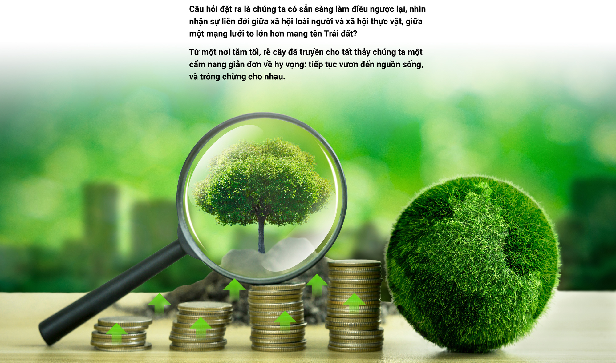 5 đô la một tín chỉ carbon là mắc hay rẻ? - Ảnh 25. 5 đô la một tín chỉ carbon là mắc hay rẻ? - Ảnh 25.