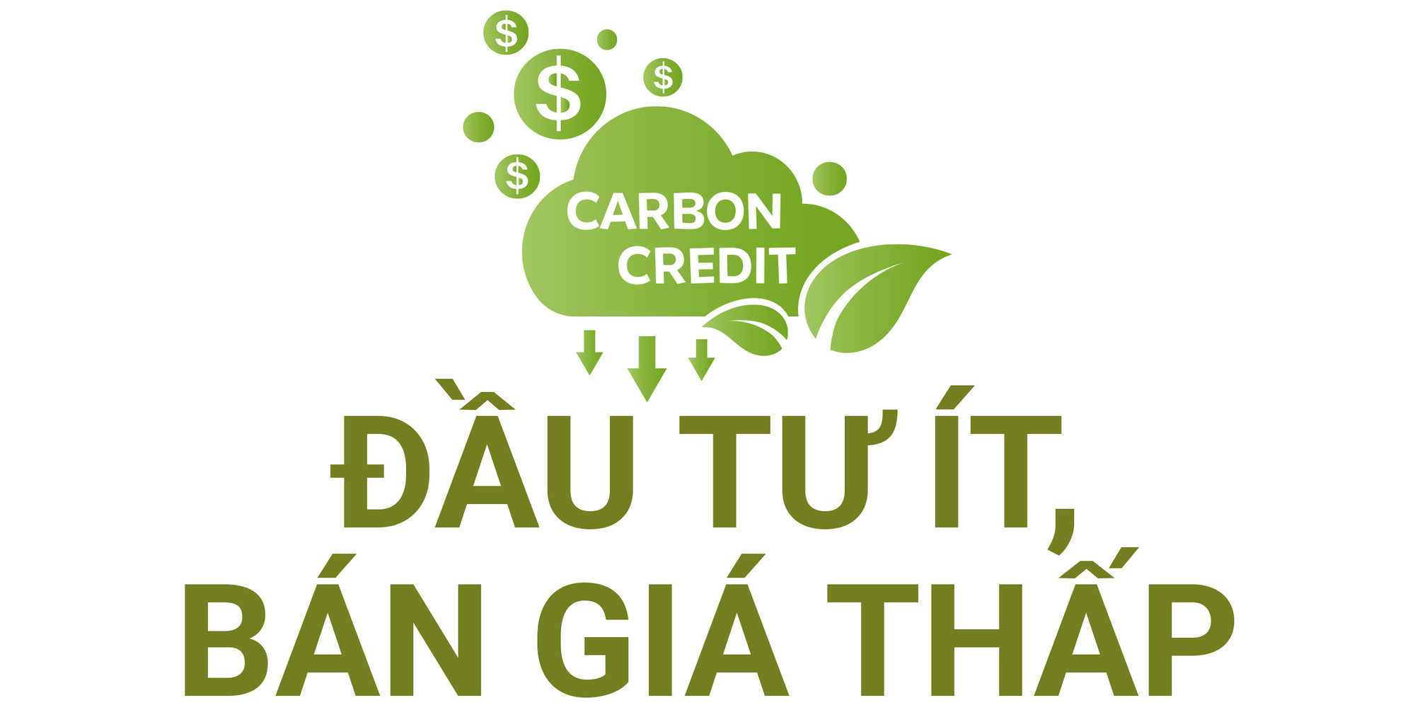5 đô la một tín chỉ carbon là mắc hay rẻ? - Ảnh 2. 5 đô la một tín chỉ carbon là mắc hay rẻ? - Ảnh 2.