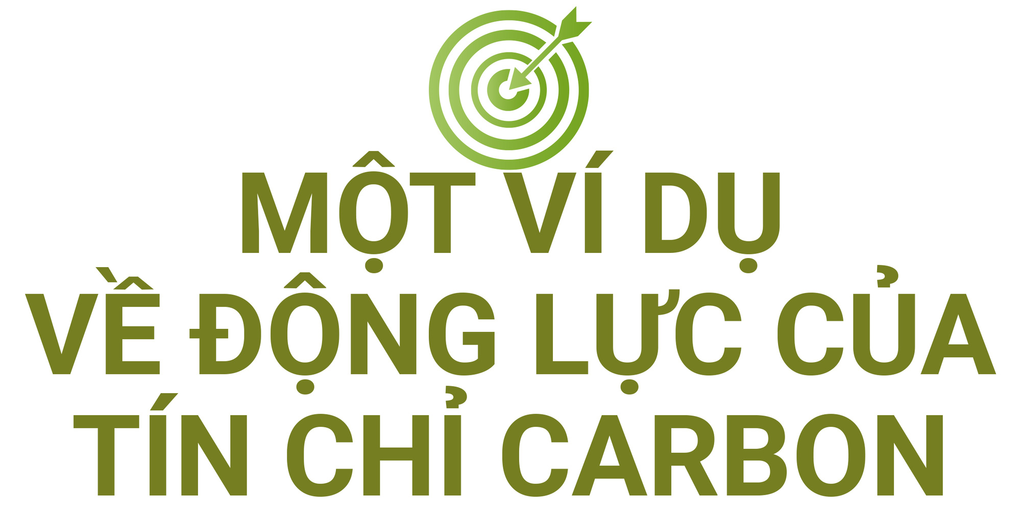 5 đô la một tín chỉ carbon là mắc hay rẻ? - Ảnh 18. 5 đô la một tín chỉ carbon là mắc hay rẻ? - Ảnh 18.