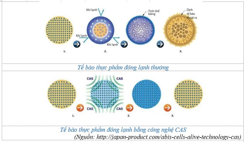 Ứng dụng CAS (Cells Alive System) vào bảo quản nông, thủy, hải sản tại Việt Nam 11 Capture1